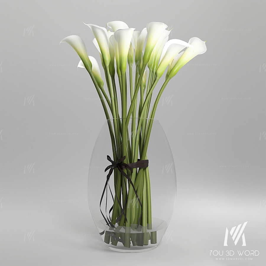 Callas